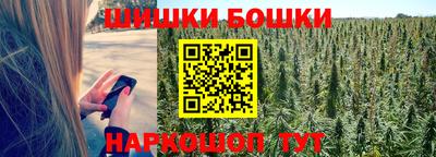скорость Бийск