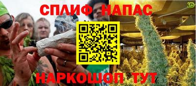 шишки Гудермес