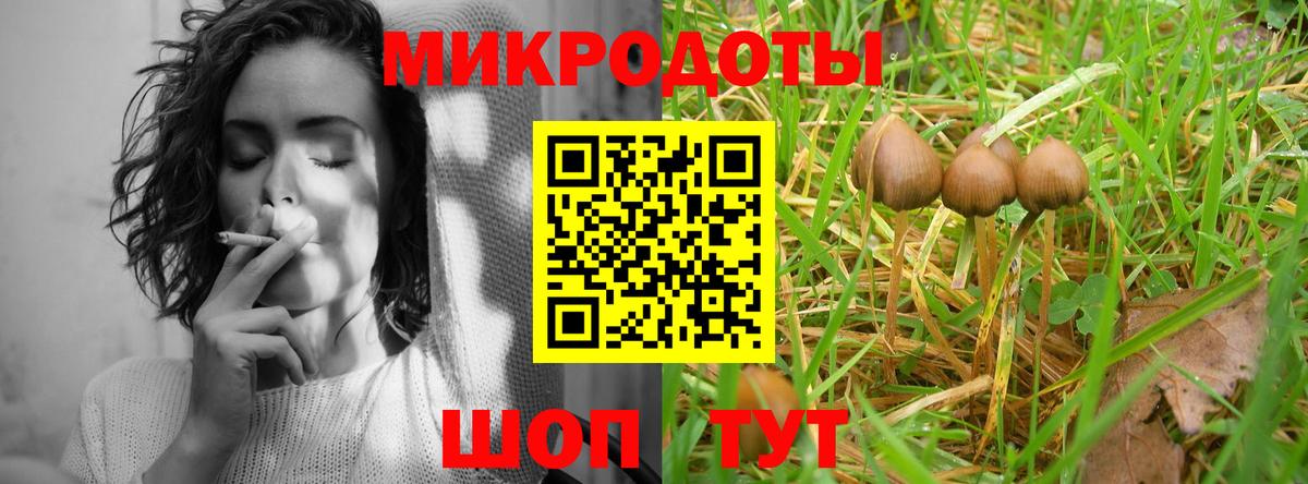 Псилоцибиновые грибы GOLDEN TEACHER  Вход с VPN  Каменск-Уральский  Псилоцибиновые грибы Psilocybine cubensis 